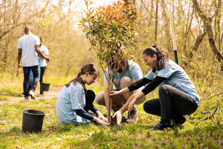 Environmental Education